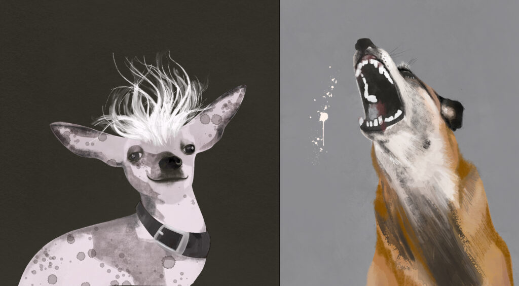 Procreate Illustration of ugly dogs