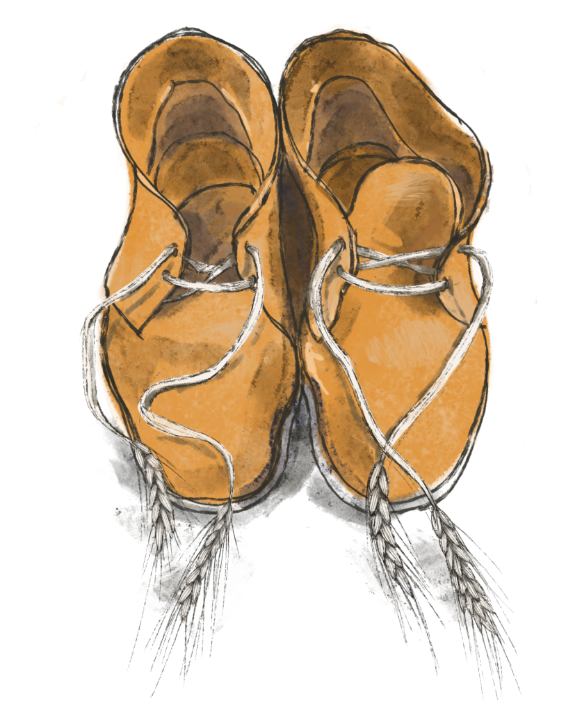 Procreate drawing of desert boots with wheat sheaves for laces